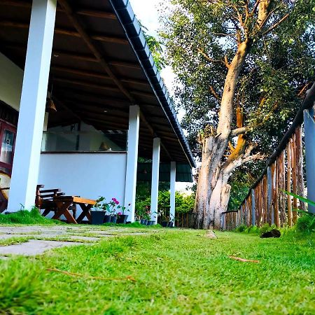 إيلا Rainbow Sky Cottage المظهر الخارجي الصورة