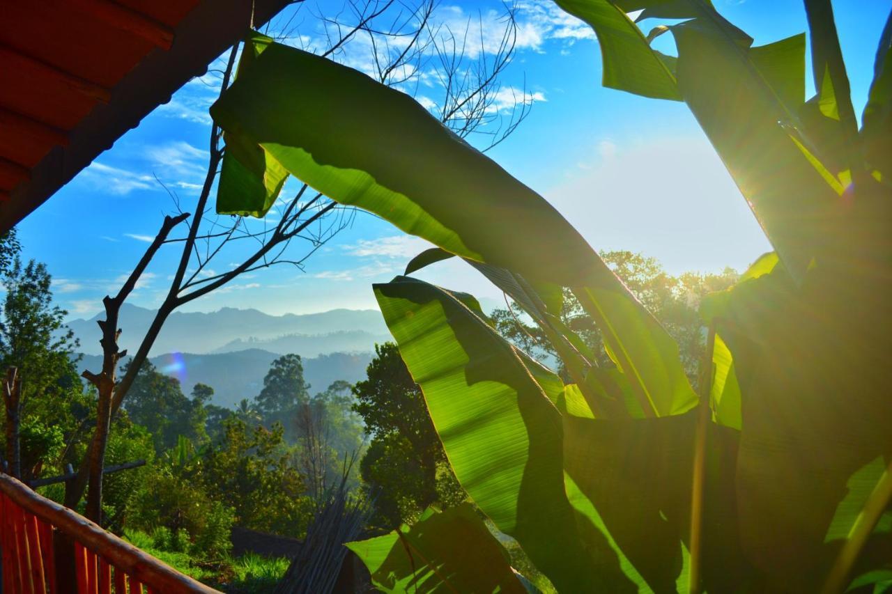 إيلا Rainbow Sky Cottage المظهر الخارجي الصورة